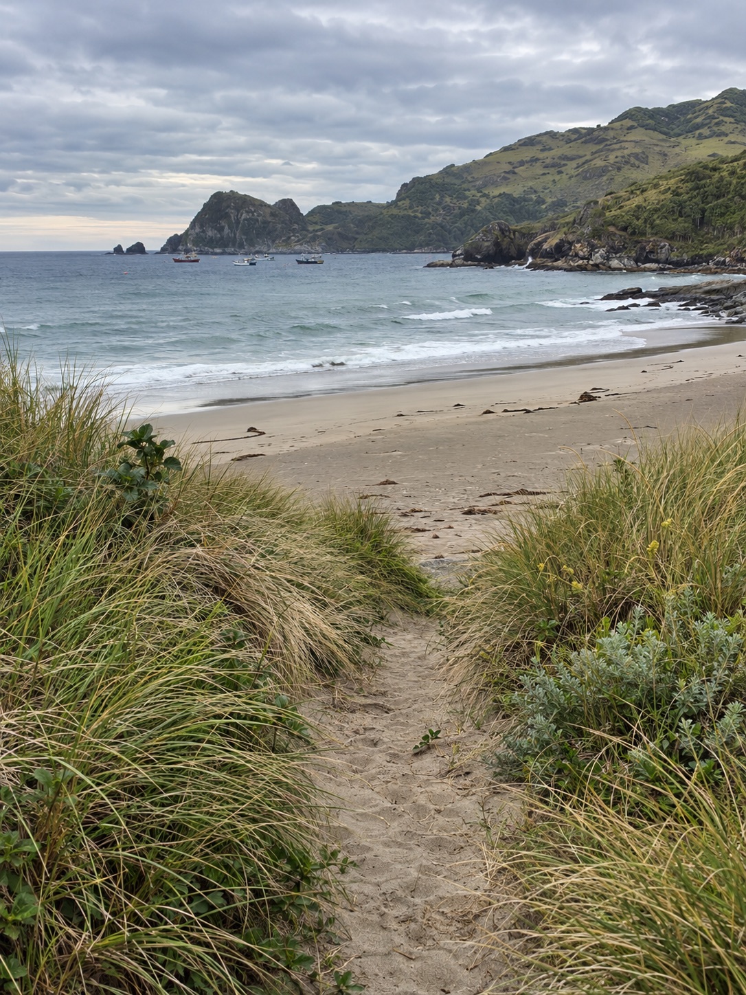 Inspiración: un sendero hacia la costa de Chiloé